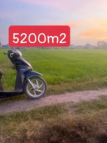 Bất động sản tại Tây Ninh - ảnh 1