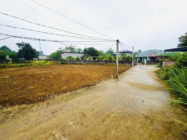 Bất động sản tại Phú Thọ - ảnh 1