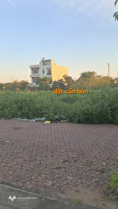 Bất động sản tại Hưng Yên - ảnh 1