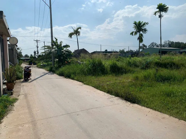 Bất động sản tại Bình Dương - ảnh 1