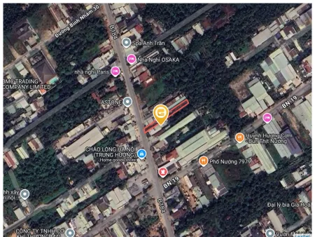 Bất động sản tại Bình Dương - ảnh 1