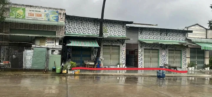 Bất động sản tại Bình Dương - ảnh 1