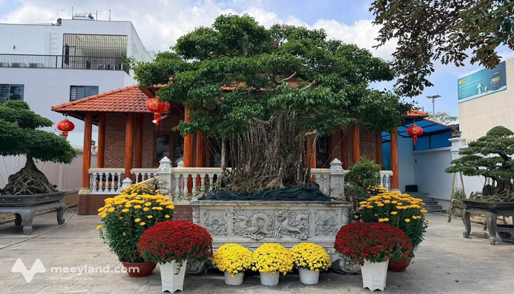 Bất động sản tại Quảng Ngãi - ảnh 1