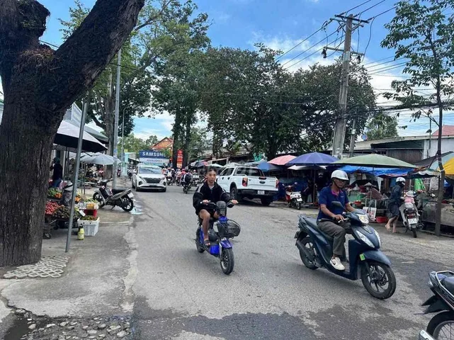Bất động sản tại Bình Dương - ảnh 1