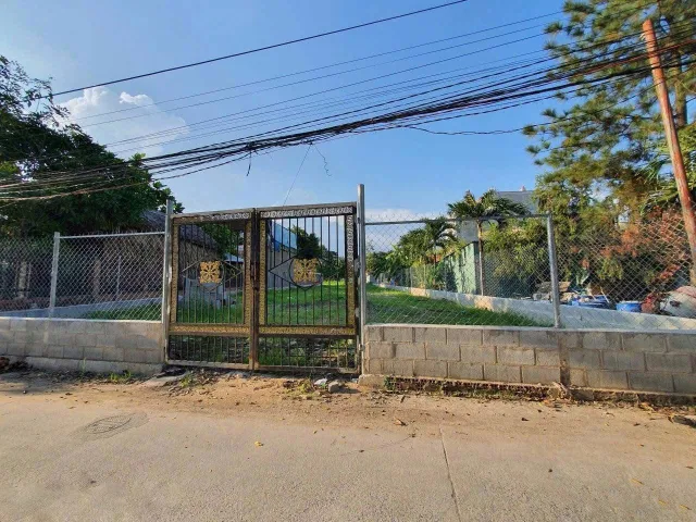 Bất động sản tại Bình Dương - ảnh 1