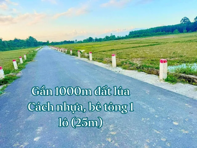 Bất động sản tại Khánh Hòa - ảnh 1