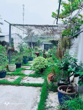 Bất động sản tại Bình Dương - ảnh 1