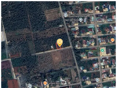 Bất động sản tại Đắk Lắk - ảnh 1