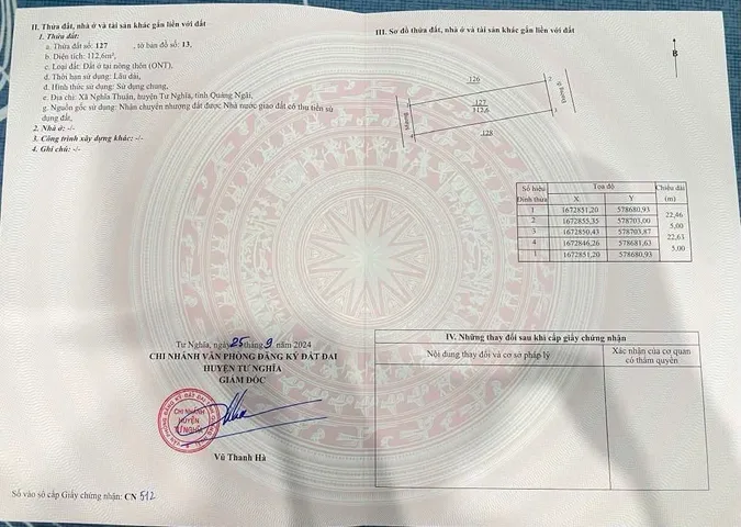 Bất động sản tại Quảng Ngãi - ảnh 1