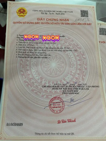 Bất động sản tại Đắk Lắk - ảnh 1