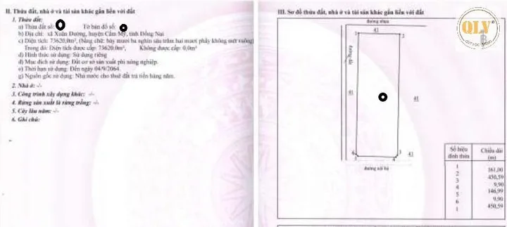 Bất động sản tại Đồng Nai - ảnh 1
