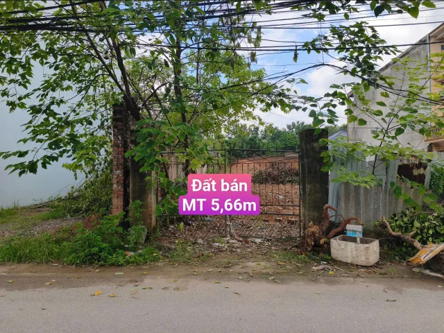 Bất động sản tại Vĩnh Phúc - ảnh 1