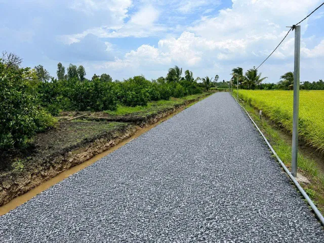Bất động sản tại Long An - ảnh 1