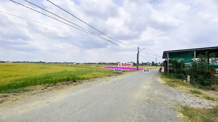 Bất động sản tại Long An - ảnh 1
