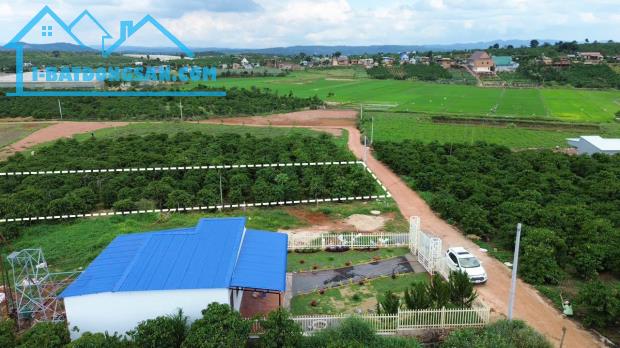 Bất động sản tại Lâm Đồng - ảnh 1