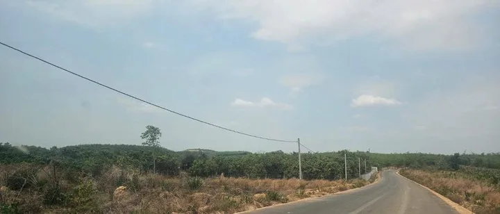 Bất động sản tại Đồng Nai - ảnh 1