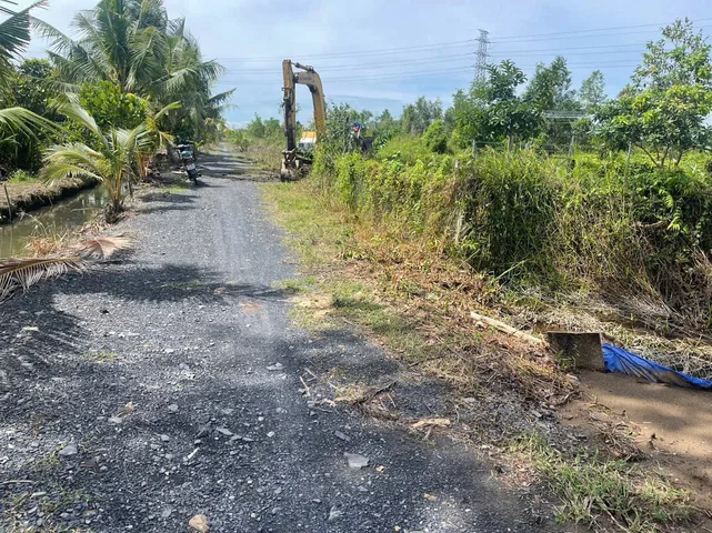 Bất động sản tại Long An - ảnh 1