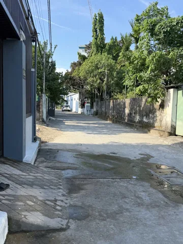 Bất động sản tại Đà Nẵng - ảnh 1