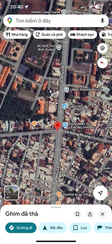 Bất động sản tại Bình Dương - ảnh 1