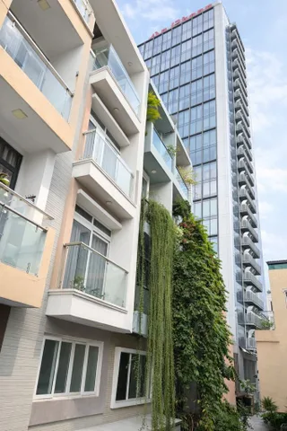 Bất động sản tại TP. Hồ Chí Minh - ảnh 1
