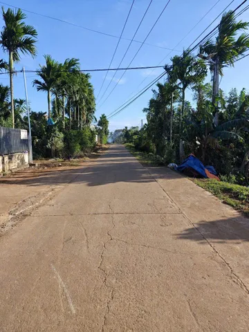 Bất động sản tại Đắk Lắk - ảnh 1