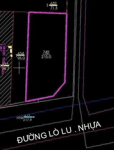 Bất động sản tại TP. Hồ Chí Minh - ảnh 4