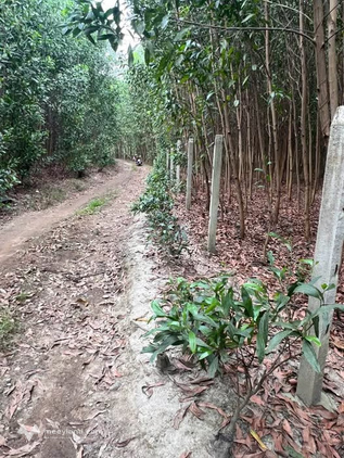 Bất động sản tại Khánh Hòa - ảnh 1
