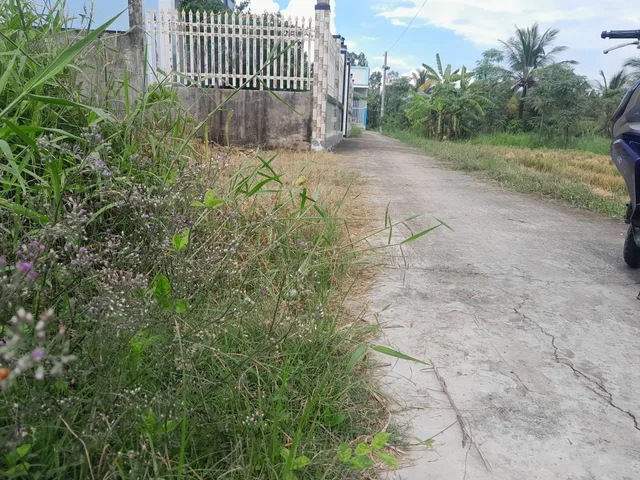 Bất động sản tại Tiền Giang - ảnh 1