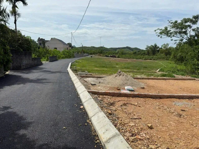 Bất động sản tại Phú Thọ - ảnh 1