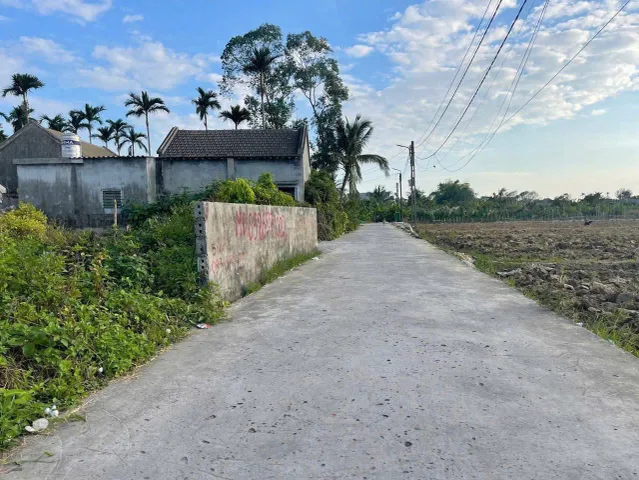 Bất động sản tại Hải Phòng - ảnh 1