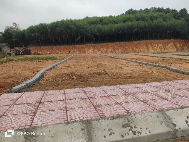 Bất động sản tại Thanh Hóa - ảnh 1