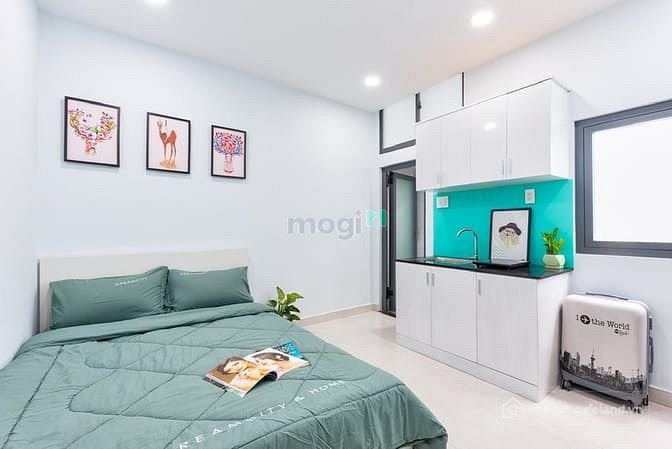 Bất động sản tại TP. Hồ Chí Minh - ảnh 1