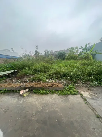 Bất động sản tại Hải Phòng - ảnh 1