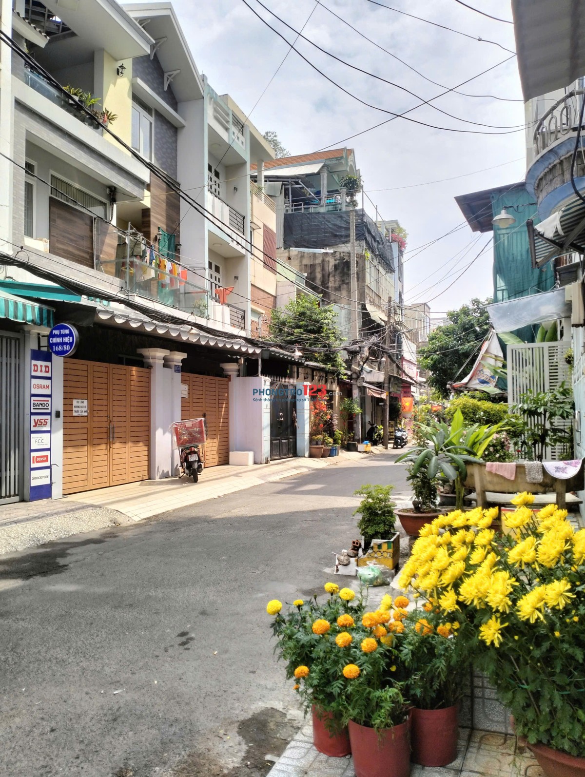 Bất động sản tại TP. Hồ Chí Minh - ảnh 1