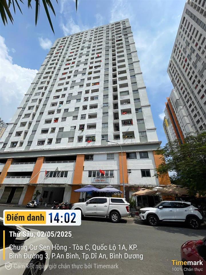 Bất động sản tại Bình Dương - ảnh 1