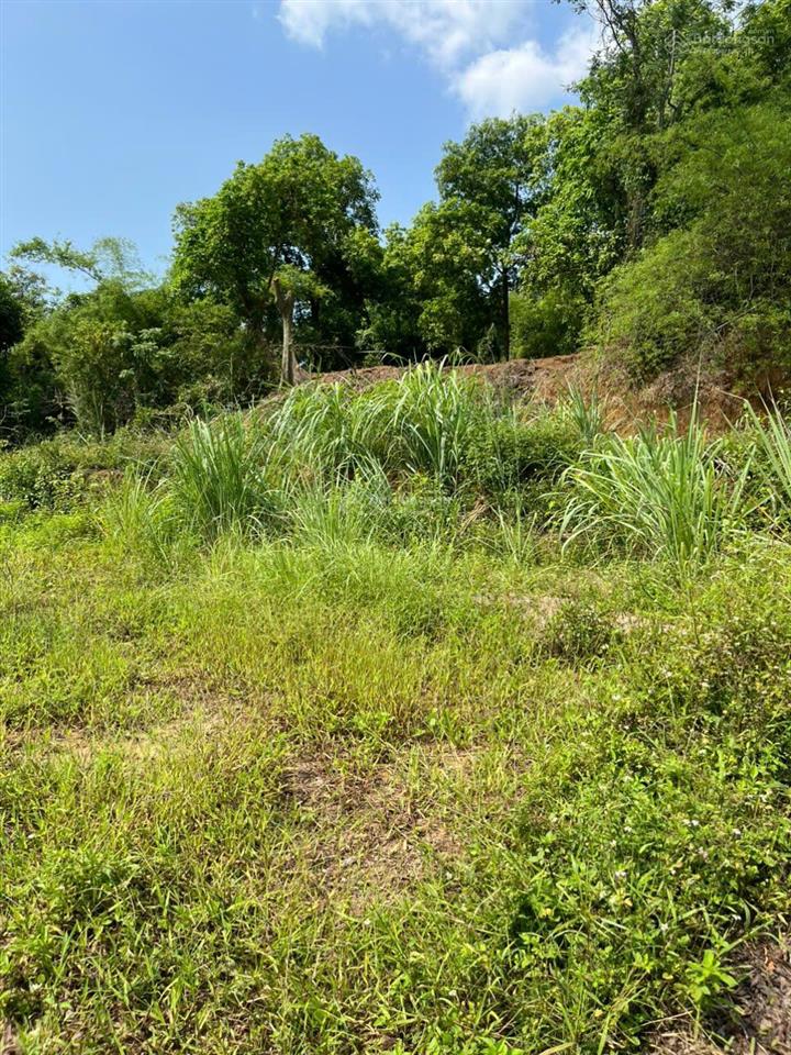 Bất động sản tại Quảng Ninh - ảnh 1