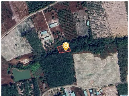 Bất động sản tại Bình Phước - ảnh 1