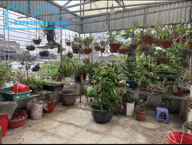 Bất động sản tại Điện Biên - ảnh 1
