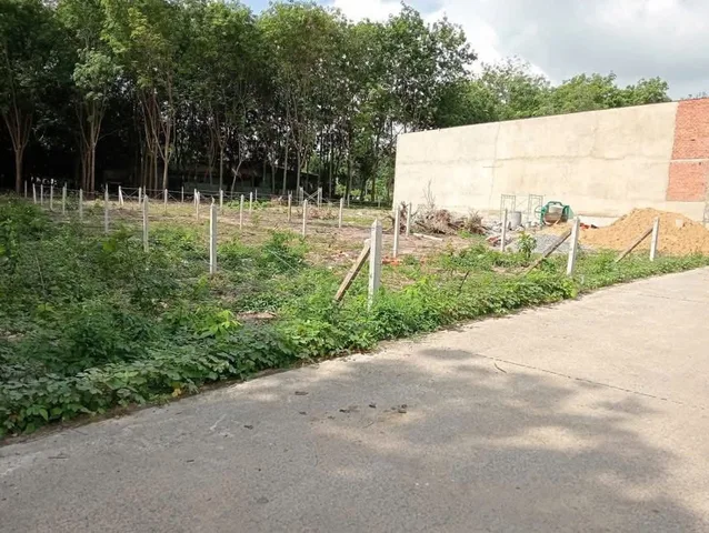 Bất động sản tại Bình Dương - ảnh 1