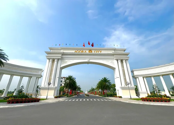 Bất động sản tại Long An - ảnh 1