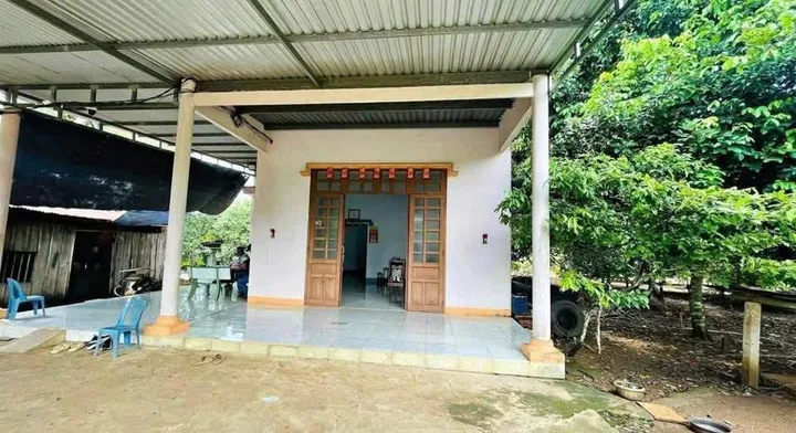 Bất động sản tại Bình Dương - ảnh 1