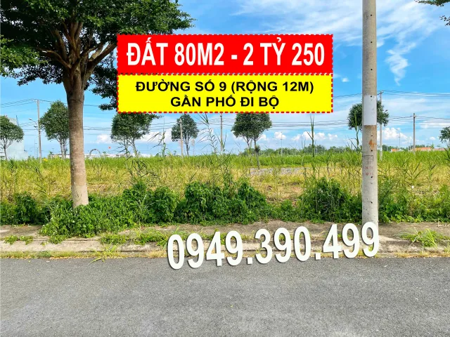 Bất động sản tại Tây Ninh - ảnh 1