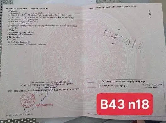Bất động sản tại Bình Dương - ảnh 1