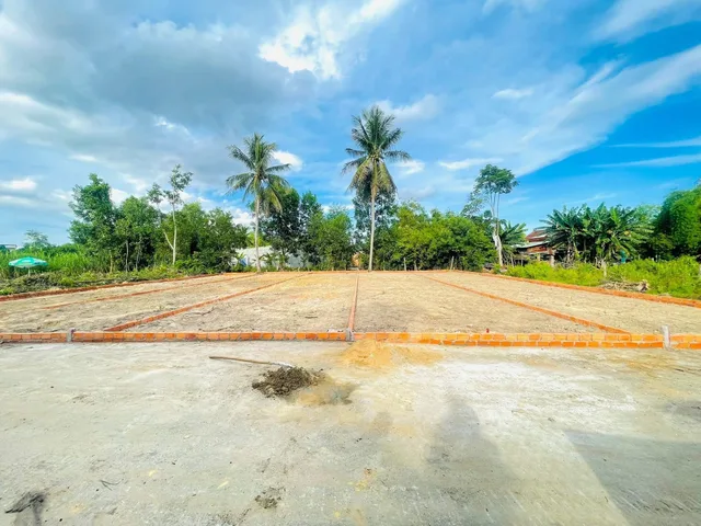 Bất động sản tại Đà Nẵng - ảnh 1
