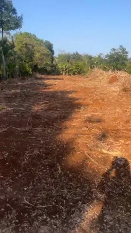 Bất động sản tại Đắk Lắk - ảnh 1