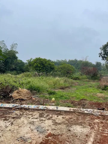 Bất động sản tại Đắk Lắk - ảnh 1