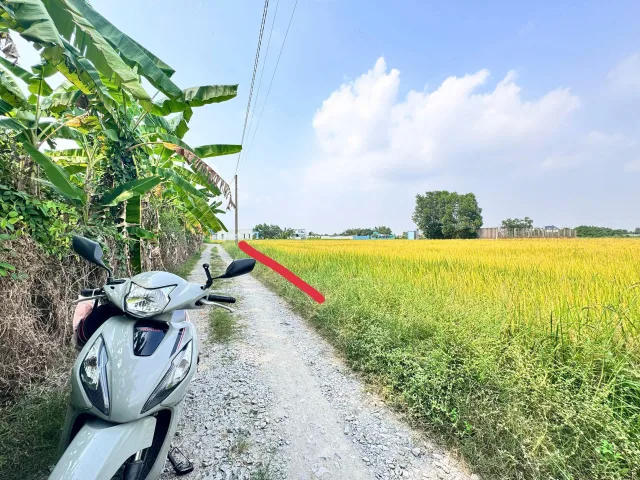 Bất động sản tại Tây Ninh - ảnh 1