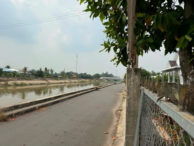 Bất động sản tại Đồng Tháp - ảnh 1