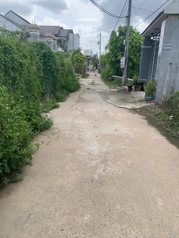 Bất động sản tại Bình Dương - ảnh 1