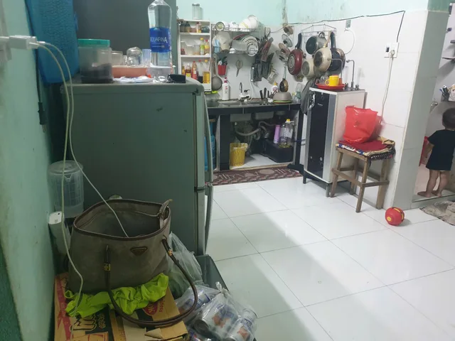 Bất động sản tại Đà Nẵng - ảnh 1